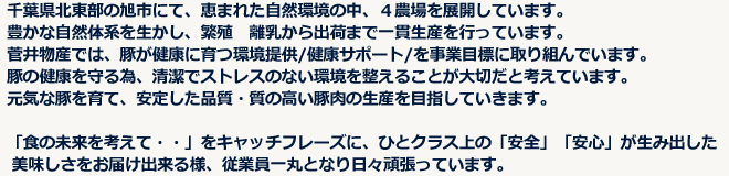 千葉県北東部の旭市にて、恵まれた自然環境の中、４農場を展開しています。豊かな自然体系を生かし、繁殖　離乳から出荷まで一貫生産を行っています。菅井物産では、豚が健康に育つ環境提供/健康サポート/を事業目標に取り組んでいます。豚の健康を守る為、清潔でストレスのない環境を整えることが大切だと考えています。元気な豚を育て、安定した品質・質の高い豚肉の生産を目指していきます。