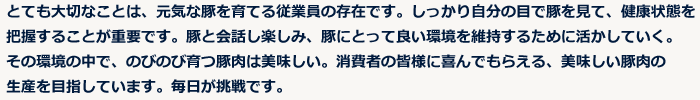 とても大切なことは、元気な豚を育てる従業員の存在です。しっかり自分の目で豚を見て、健康状態を把握することが重要です。豚と会話し楽しみ、豚にとって良い環境を維持するために活かしていく。その環境の中で、のびのび育つ豚肉は美味しい。消費者の皆様に喜んでもらえる、美味しい豚肉の生産を目指しています。毎日が挑戦です。