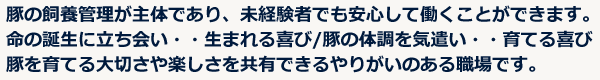 豚の飼養管理が主体であり、未経験者でも安心して働くことができます。命の誕生に立ち会い・・生まれる喜び/豚の体調を気遣い・・育てる喜び豚を育てる大切さや楽しさを共有できるやりがいのある職場です。