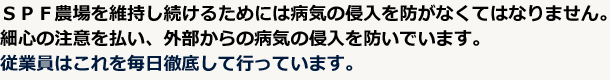 SPF農場を維持し続けるためには病気の侵入を防がなくてはなりません。細心の注意を払い、外部からの病気の侵入を防いでいます。従業員はこれを毎日徹底して行っています。